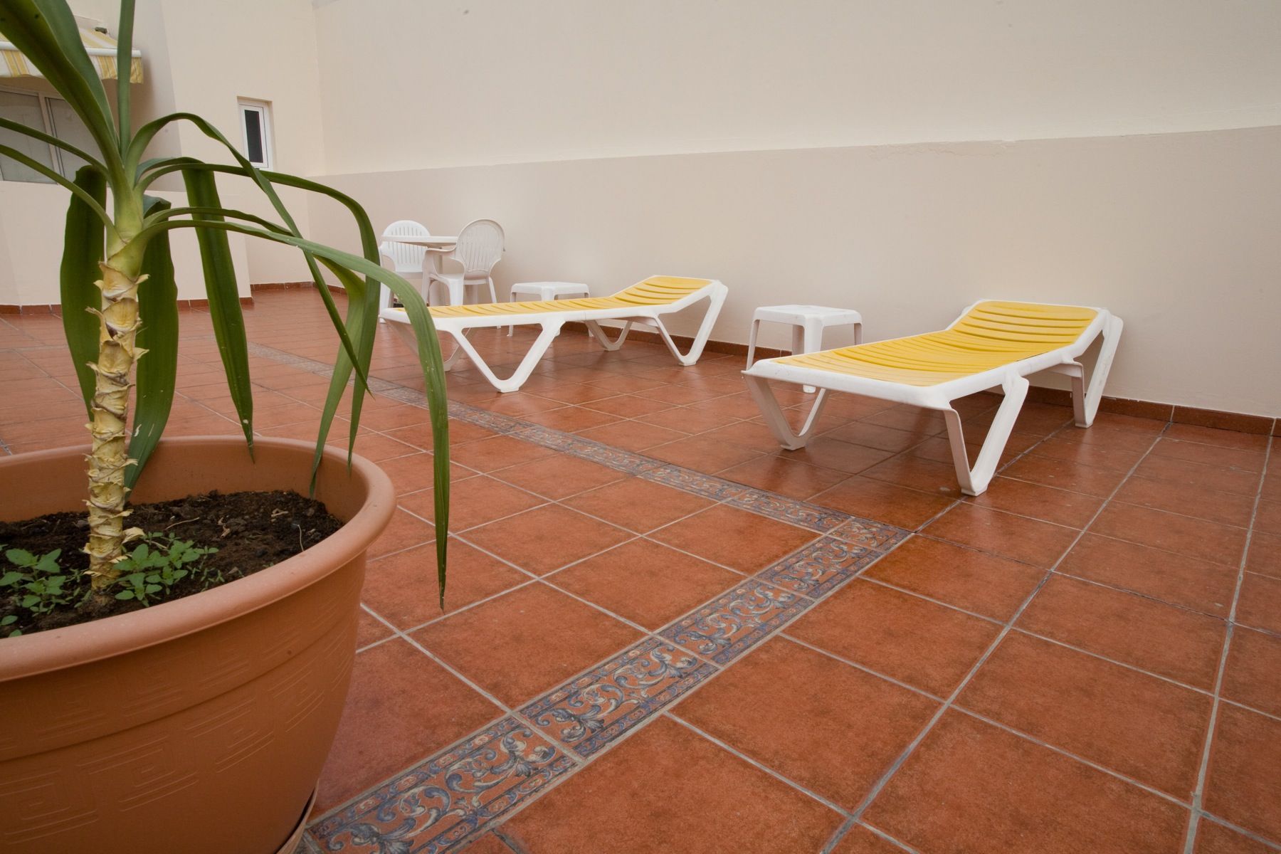 Apartamentos Catalina Park Las Palmas de Gran Canaria Exteriör bild